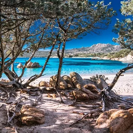 Familyhouse Pevero Hill Πόρτο Τσέρβο